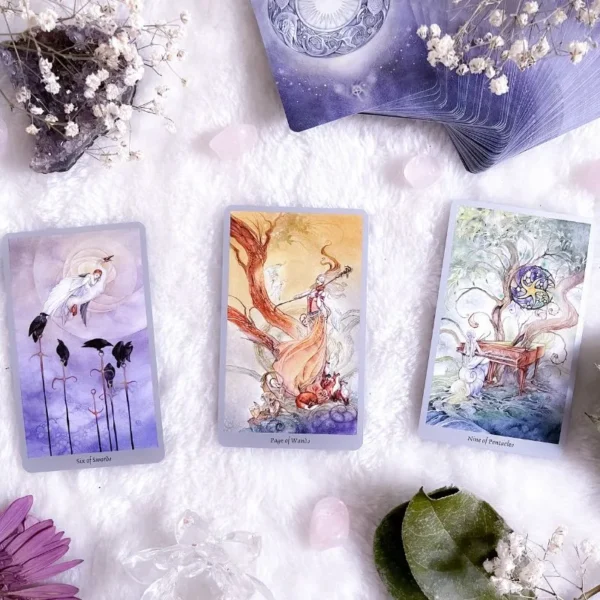 etalare Tarot 20 minute TaroTerapia