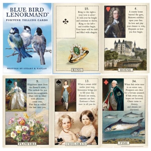 38 Carti Lenormand Blue Bird Stuart Kaplan US Games